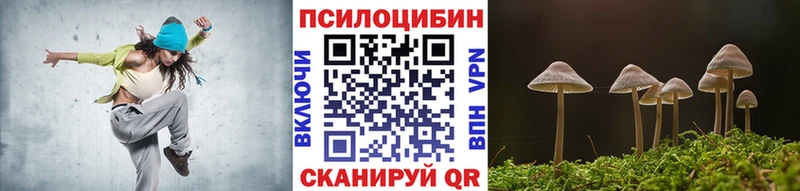 Купить закладки  Барабинск  Галлюциногенные грибы Psilocybe 